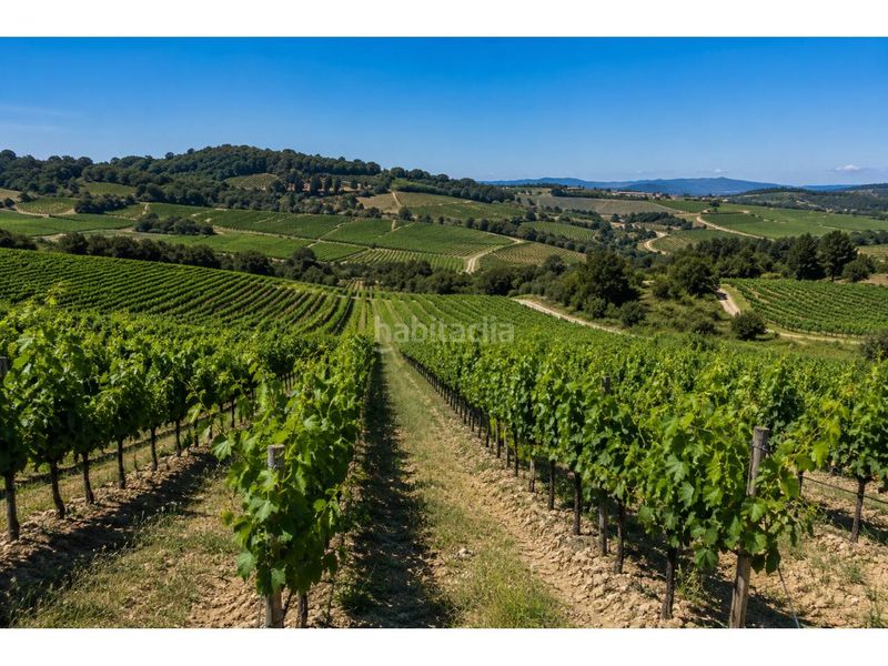 Foto c7956d32-561e-40d9-bdb4-6f747cf0ea45. Finca rústica a poligono 19 10 a Subirats