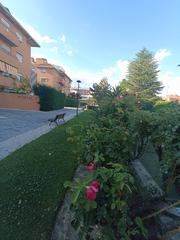 Lloguer Pis  Avenida infante don luis