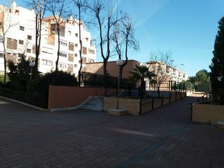 Affitto Appartamento  Calle fausto elhuyar