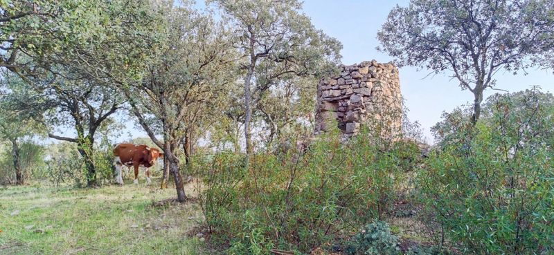 Foto 0c024eb3-a4d7-4957-9fd3-fa9dd49e9d41. Finca rústica a Casa Amarilla Galapagar