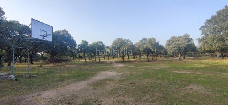 Foto 14bcc81f-2012-45eb-8081-8fb3c02bf407. Fondo rustico in Casa Amarilla Galapagar