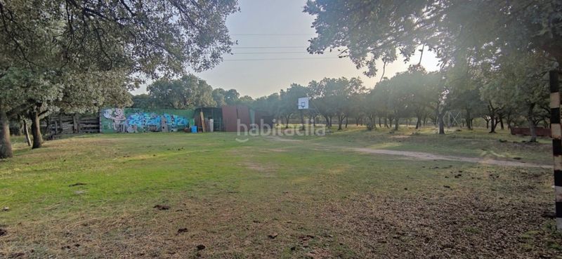 Foto 6e44bc52-9823-45f4-9091-5e2c604c8870. Finca rústica a Casa Amarilla Galapagar