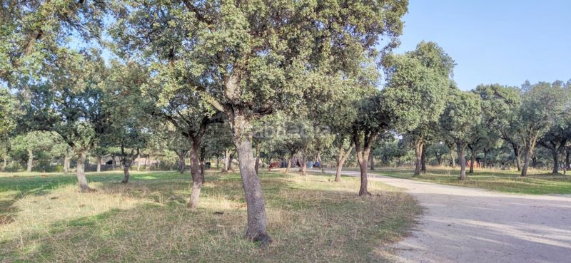 Foto 7bcea0bc-588f-466b-8256-17a8a7c47225. Finca rústica a Casa Amarilla Galapagar