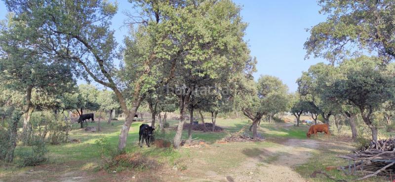 Foto ecf29c10-1dd4-4a76-b783-679386fffcc4. Fondo rustico in Casa Amarilla Galapagar