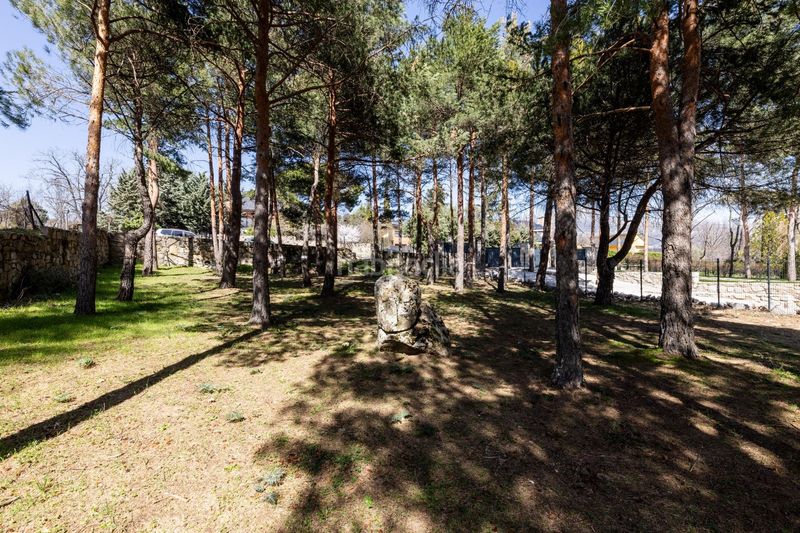 Foto 419a396d-3a59-4f19-b17c-2aa4f191602c. Terreny residencial a paseo de abetos 1 a Navacerrada