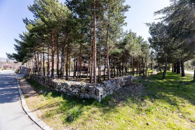 Foto 446696e1-81f0-436b-97ed-96a6af9900a3. Terreny residencial a paseo de abetos 1 a Navacerrada