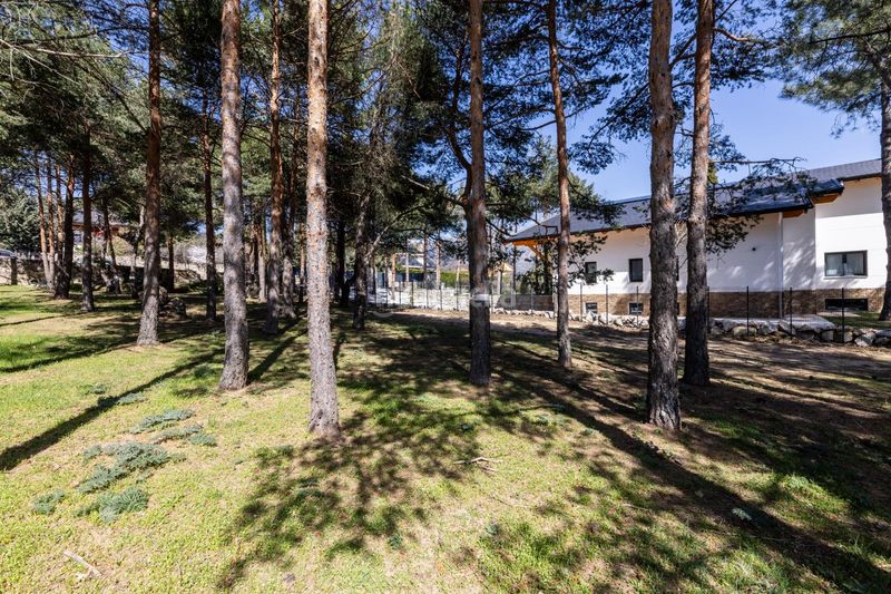 Foto 6a90c0ff-bf81-4c2e-a28d-c9a7d6b45bcb. Terreny residencial a paseo de abetos 1 a Navacerrada