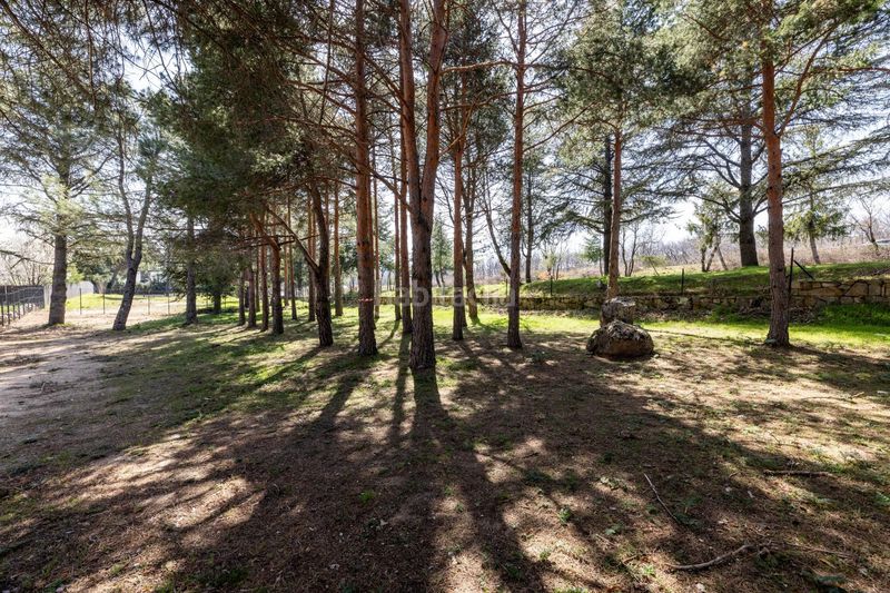 Foto 6f5353ab-c5ec-4fa4-b890-a972d3ccfff1. Terreny residencial a paseo de abetos 1 a Navacerrada