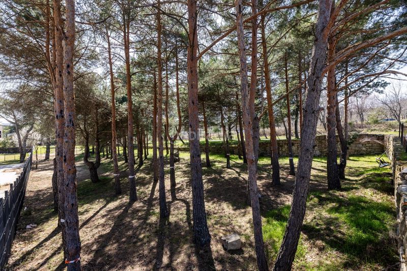 Foto a9bdd41c-e9e0-4ecc-a851-d2ee78f1b412. Terreny residencial a paseo de abetos 1 a Navacerrada