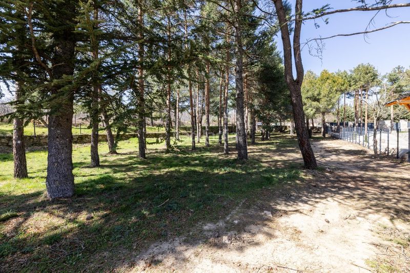 Foto abc73268-8a9e-491d-becd-abff096ab59f. Terreny residencial a paseo de abetos 1 a Navacerrada