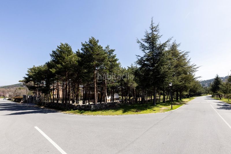 Foto ae0cd1de-c494-4e13-a946-a07159f8fe4b. Terreny residencial a paseo de abetos 1 a Navacerrada
