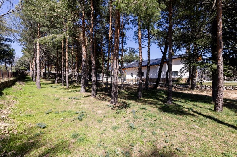 Foto b048a535-e60d-4e24-bf8d-8f84246c3ed3. Terreny residencial a paseo de abetos 1 a Navacerrada
