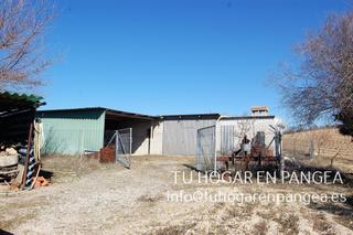 Finca rstica en lamo (El). Venta de finca rstica de 13201m vallada, con pozo propio nave,