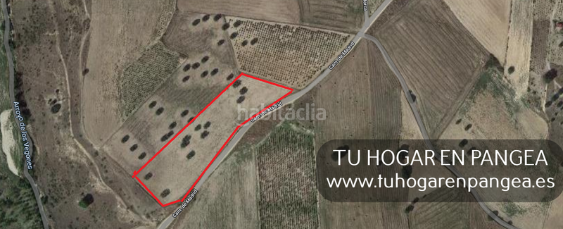 Foto 36fc711c-08b9-43bc-80ec-14658bddee60. Finca rústica a Álamo (El)