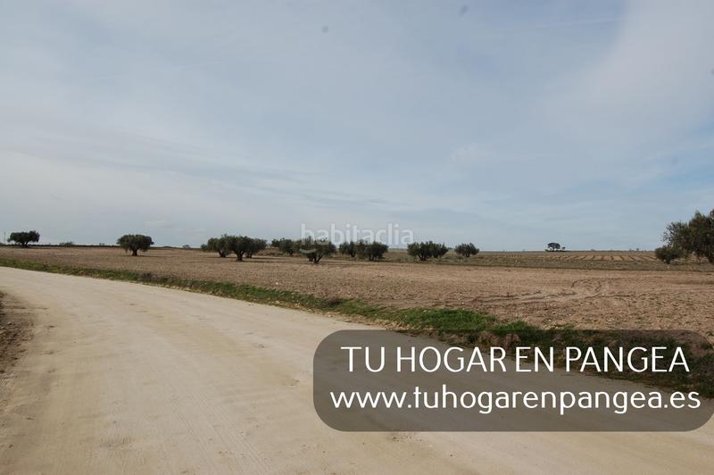 Foto 3dc7832a-804e-42fd-80d0-c0f1680de3c7. Finca rústica a Álamo (El)