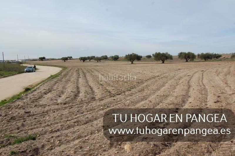 Foto b9dd2eaa-f03f-4c05-bcf4-2b9043b7835b. Finca rústica a Álamo (El)