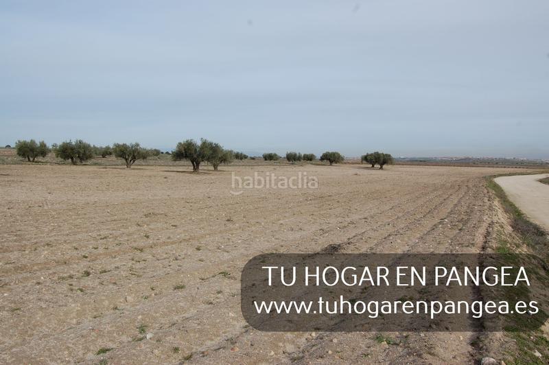 Foto eba7585c-6ed4-4fe6-99e6-f73075a4b9a8. Finca rústica a Álamo (El)