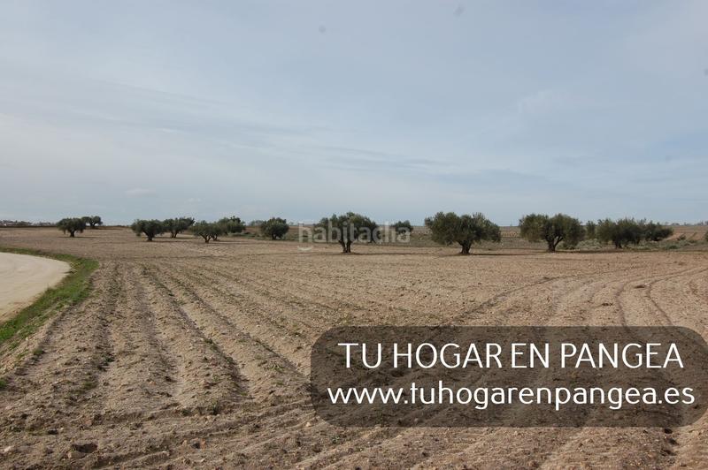 Foto ff9d85dd-39fb-4dd9-b8ed-7ad4917aad77. Finca rústica a Álamo (El)