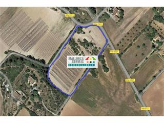 Terreny residencial a Manacor Centre. Terreno en venta en manacor