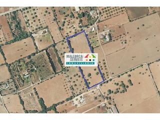 Terreny residencial a Manacor Centre. Terreno en venta en manacor