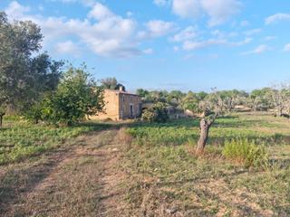 Maison à Sant Llorenç des Cardassar. Casa de campo necesita reformar completamente  cerca de san lore