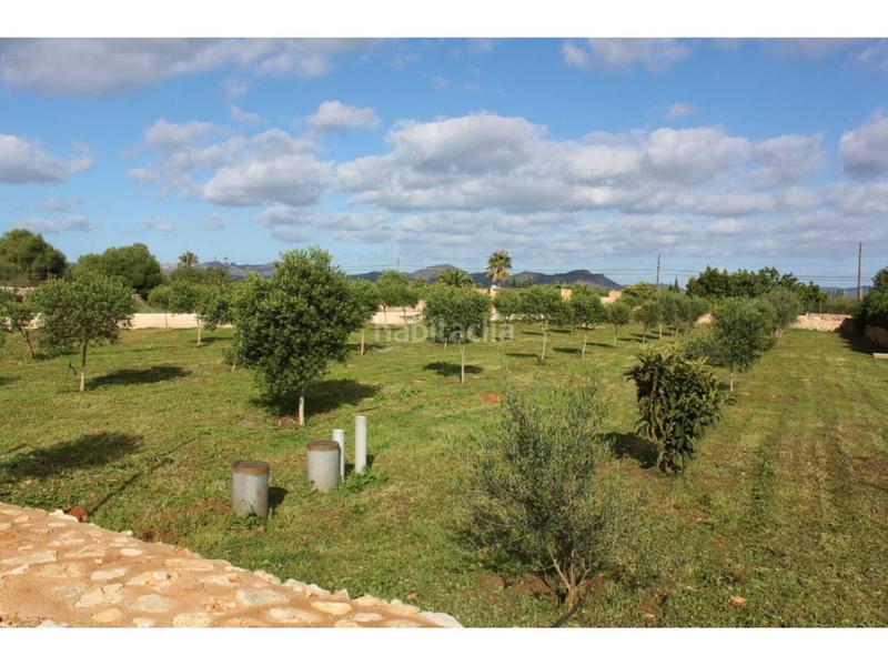 Foto 5a1e9509-2ff0-47b2-ae7f-e4908a0c9aa9. Casale con riscaldamento piscina in S´Illot-Cala Morlanda Manacor