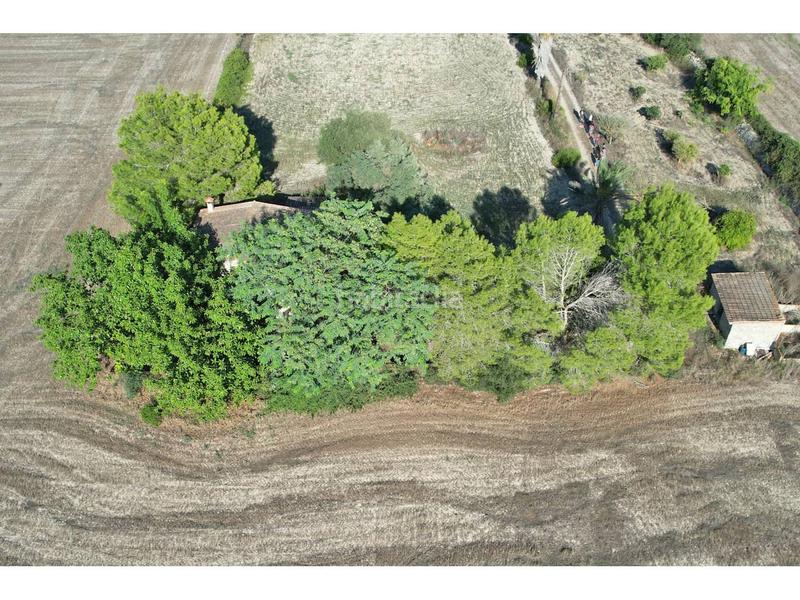 Foto 8e8f754f-3e98-49aa-9f64-6c0a38b65224. Bauernhof in Manacor centre Manacor