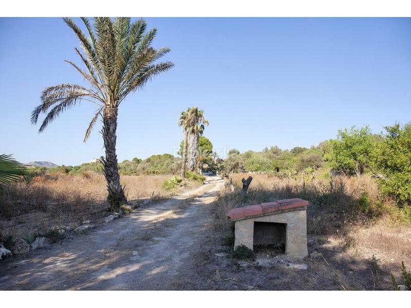 Foto dc1ea533-a718-4f6b-86a9-4483672d015a. Bauernhof in Manacor centre Manacor