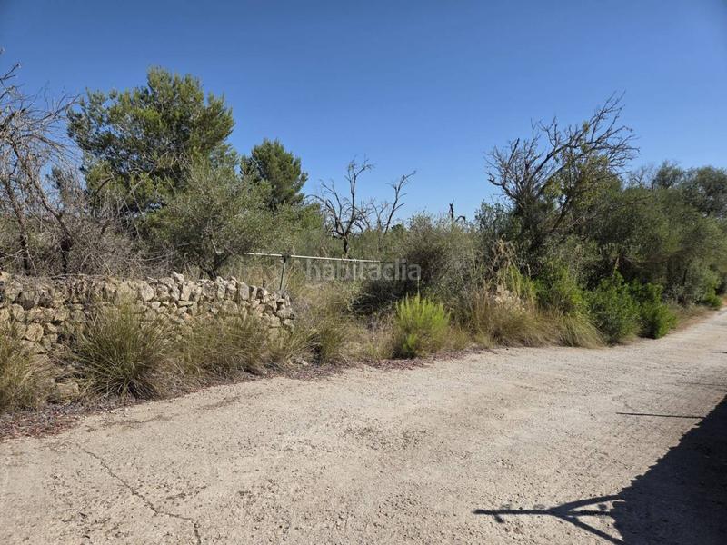 Foto 27050d42-0958-410b-81a6-f020dac56c46. Landgut in Manacor centre Manacor