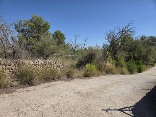 Rural plot in Manacor Centre. Terreno de 32.626m2 para construir muy cerca de manacor zona cen
