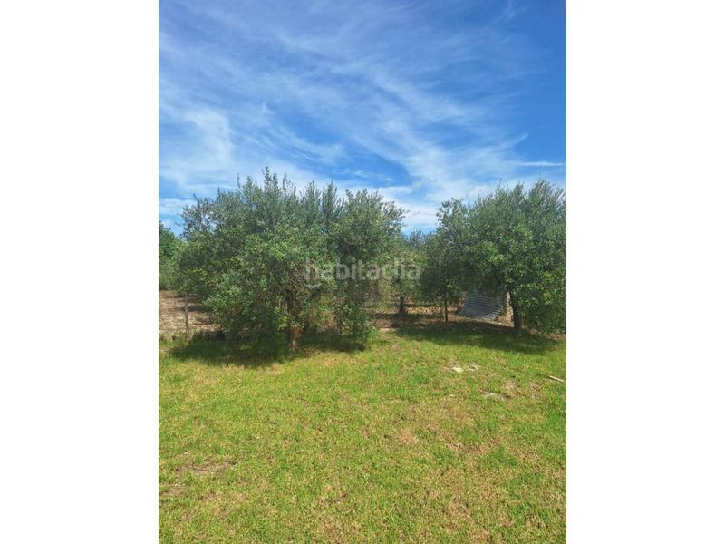 Foto bbf2c6a7-c493-472f-8053-b9c4755d6ffe. Casale con riscaldamento parcheggio piscina in Son Servera poble Son Servera