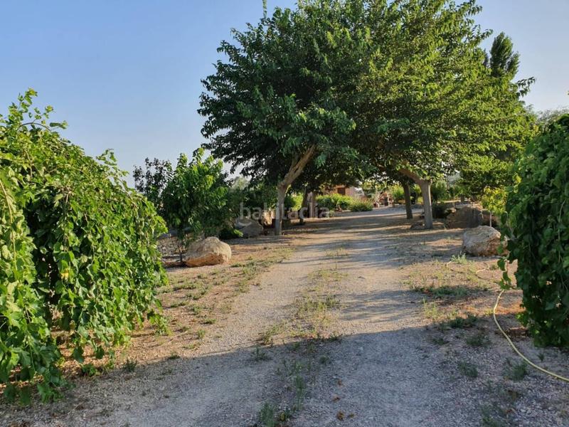 Foto a5746639-298a-4406-88a6-d458a0d411aa. Mas avec piscine dans Manacor centre Manacor