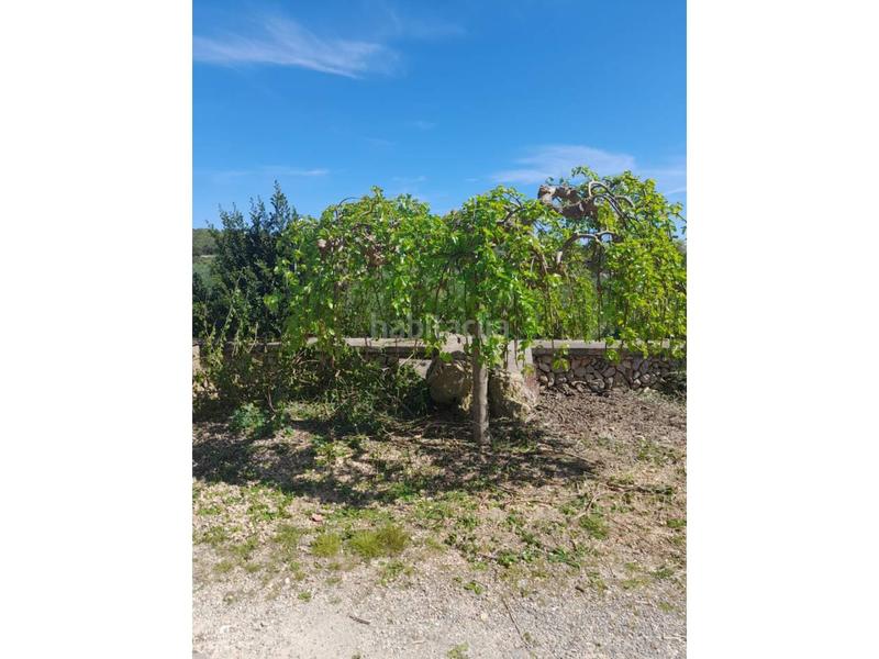 Foto de592af4-edf7-483d-bef9-7a376ffb0a29. Mas avec piscine dans Manacor centre Manacor