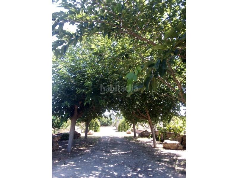 Foto fefc814c-c98e-46c6-90f1-70723917fbc8. Mas avec piscine dans Manacor centre Manacor