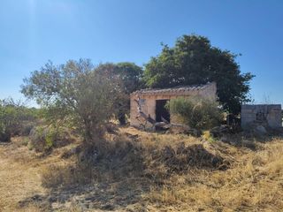 Finca rústica a Manacor Centre