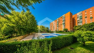 Flat in Parque Mayor
