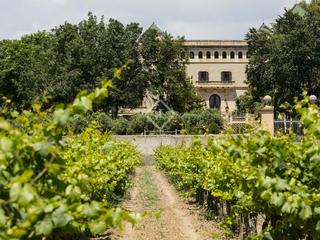 Masia a Banyeres del Penedès. Precioso palacio con finca rural y 23 hectáreas de viñedos en fu