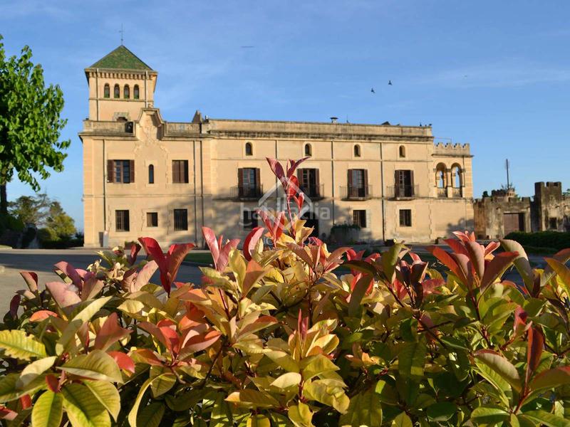 Foto 08db4ec3-3cfd-4c91-aae7-2245eb35b0f7. Masía precioso palacio con finca rural y 23 hectáreas de viñedos en funcionamiento en tarragona en Banyeres del Penedès