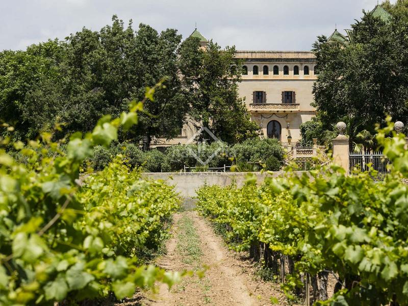 Foto 1ede30bc-7c1e-43cb-9a92-3d406169883d. Masía precioso palacio con finca rural y 23 hectáreas de viñedos en funcionamiento en tarragona en Banyeres del Penedès