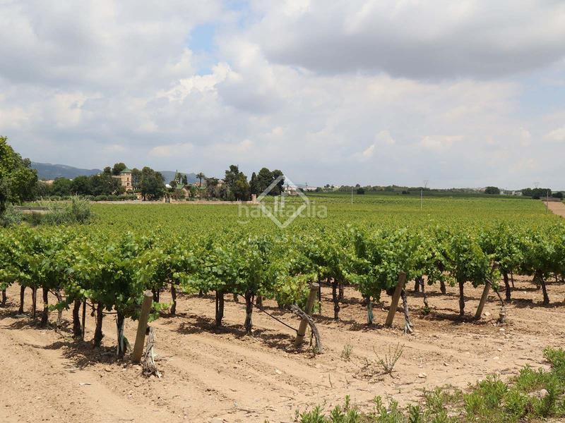 Foto 9d57eef7-3d0c-49d0-ad26-4c25febc7689. Masía precioso palacio con finca rural y 23 hectáreas de viñedos en funcionamiento en tarragona en Banyeres del Penedès