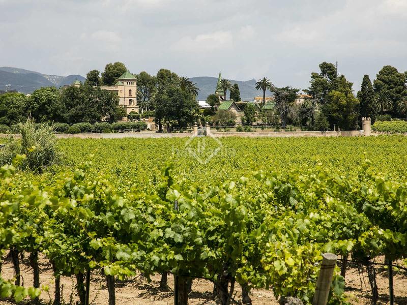 Foto d3090a41-92e1-4981-bc9a-c5006fd8f68d. Masía precioso palacio con finca rural y 23 hectáreas de viñedos en funcionamiento en tarragona en Banyeres del Penedès