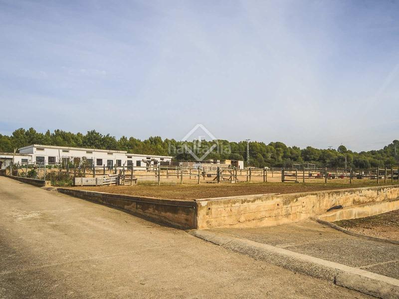 Foto 4511b0b9-9e2b-44b2-a0ee-53d4d4c02d98. Chalet finca ecuestre de 5 dormitorios en venta en calafell, tarragona en Vendrell (El)