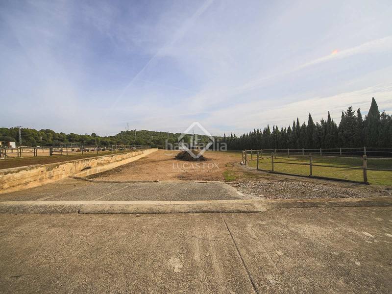 Foto 53787017-58a9-4130-9171-c8d5d5e23574. Chalet finca ecuestre de 5 dormitorios en venta en calafell, tarragona en Vendrell (El)