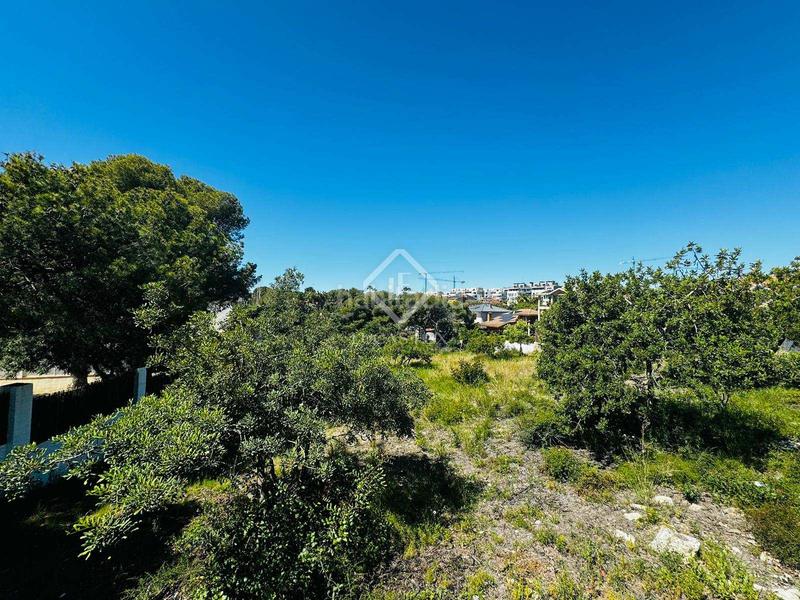 Foto 9ff771fe-3db7-4901-90ac-a877265f9ec2. Finca rústica parcela en excelentes condiciones en venta , barcelona en Vilanova i la Geltrú