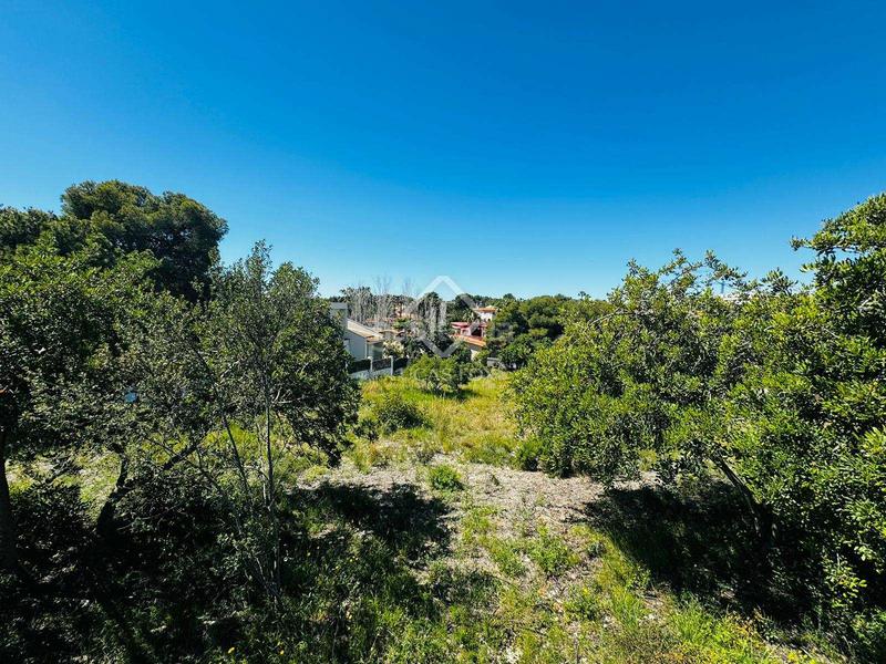 Foto a3f04ded-54b0-49ec-a6f8-bebb949c5c28. Finca rústica parcela en excelentes condiciones en venta , barcelona en Vilanova i la Geltrú
