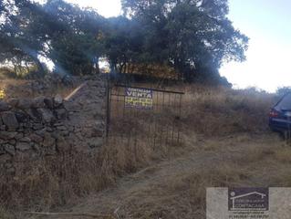 Masía en Las Vegas-El Pozanco-Adelfillas. Colmenar viejo/finca rustica