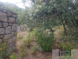 Masía en Cabrera (La). La cabrerafinca rustica