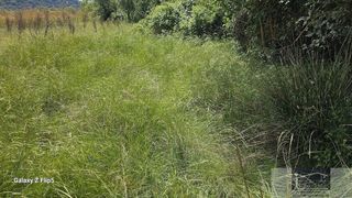 Masia en Miraflores de la Sierra. Guadalix de la sierrafinca rustica