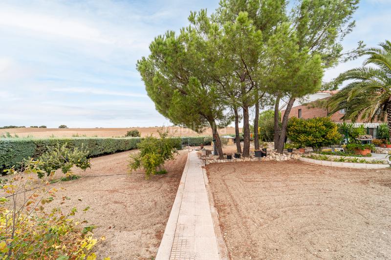 Foto addea1fb-af06-4135-bb4f-fca5be031feb. Chalet  de campo en Brunete