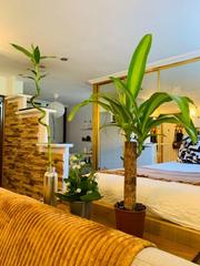 Appartement à De Hellín